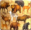 lodge animals bear moose wolf dan morris lodge paper coasters paperkraft coasters